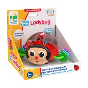Early Learning Crawl About Ladybug Toy - Red